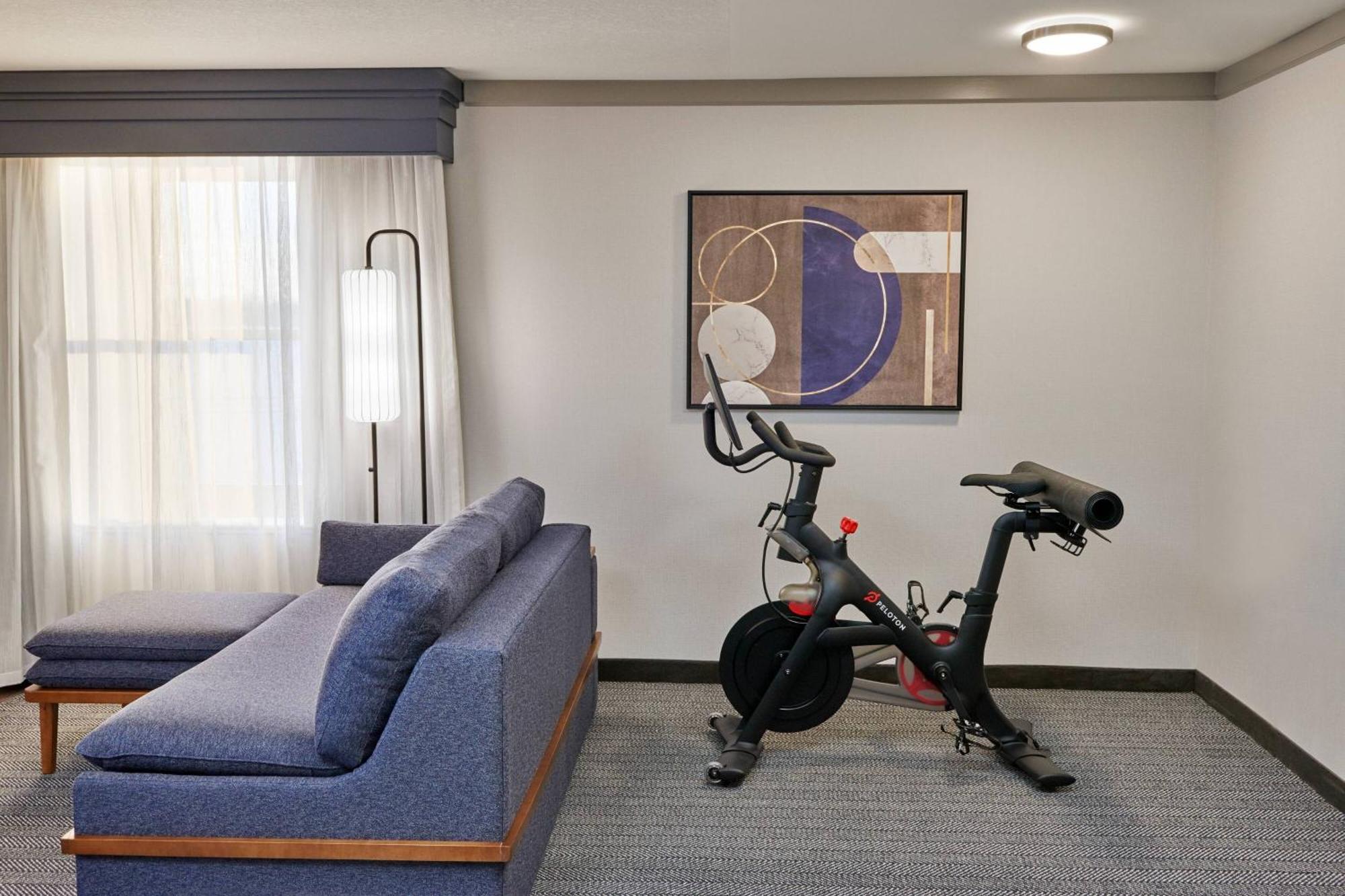 King Room with Exercise Equipment and Sofa Bed