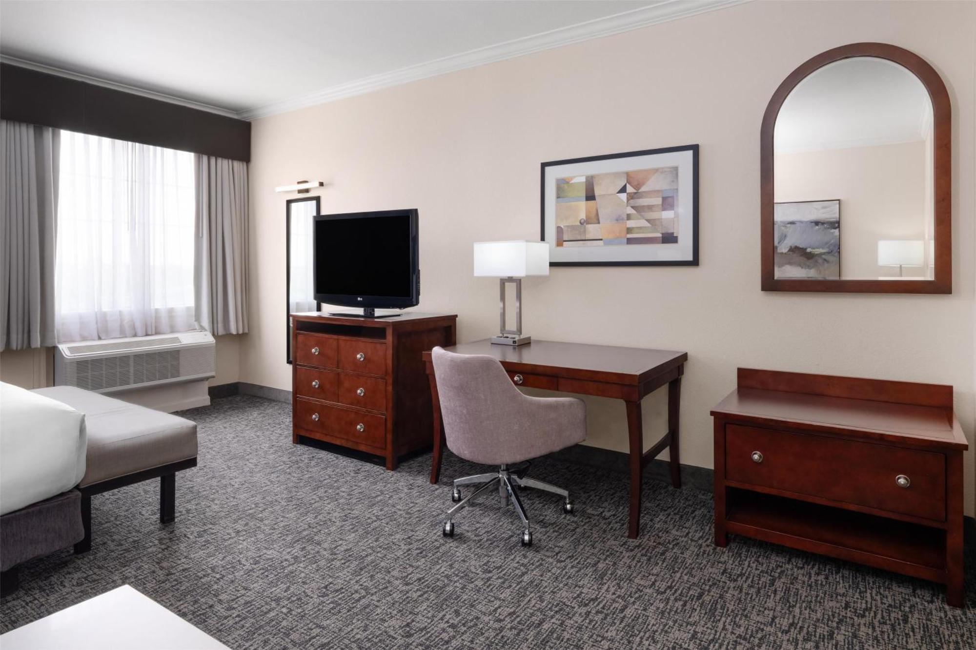King Suite with Sofa Bed