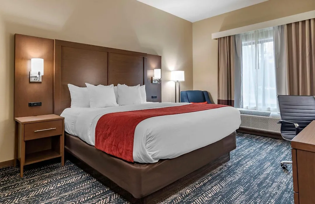 Comfort Inn & Suites Downtown Near University-1