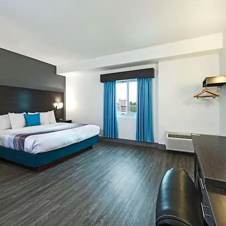 Comfort Hotel-2