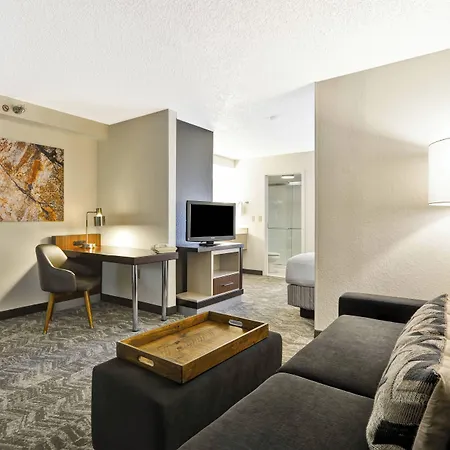 Springhill Suites By Marriott San Antonio Medical Center/Northwest-2