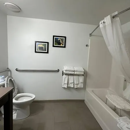 Comfort Inn & Suites Cartersville - Emerson Lake Point-2