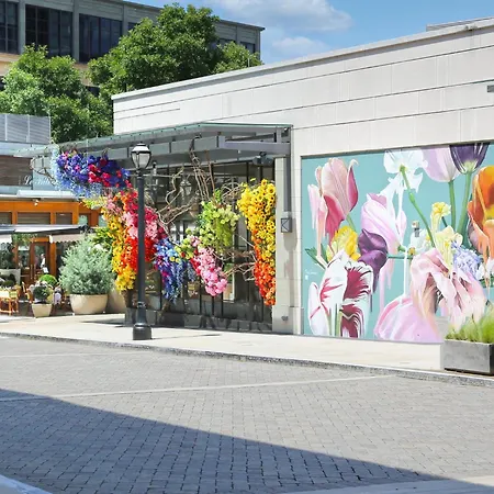 Intercontinental Buckhead Atlanta By Ihg-2