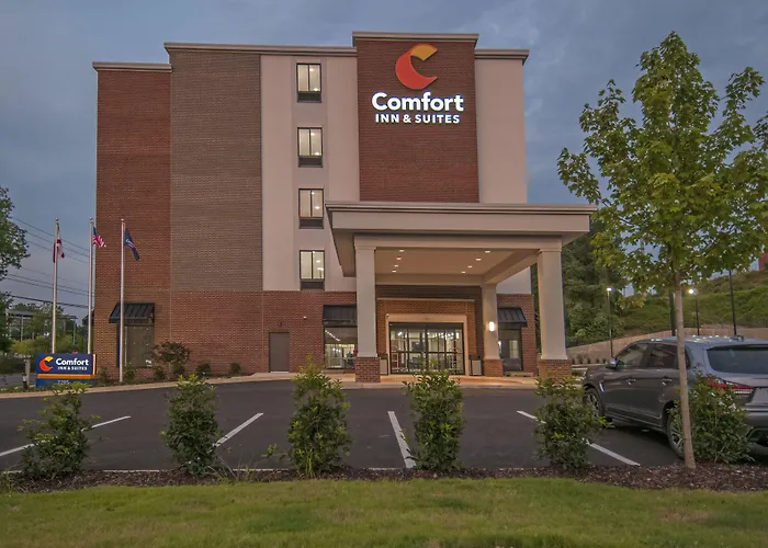 Comfort Inn & Suites Downtown Near University Tuscaloosa